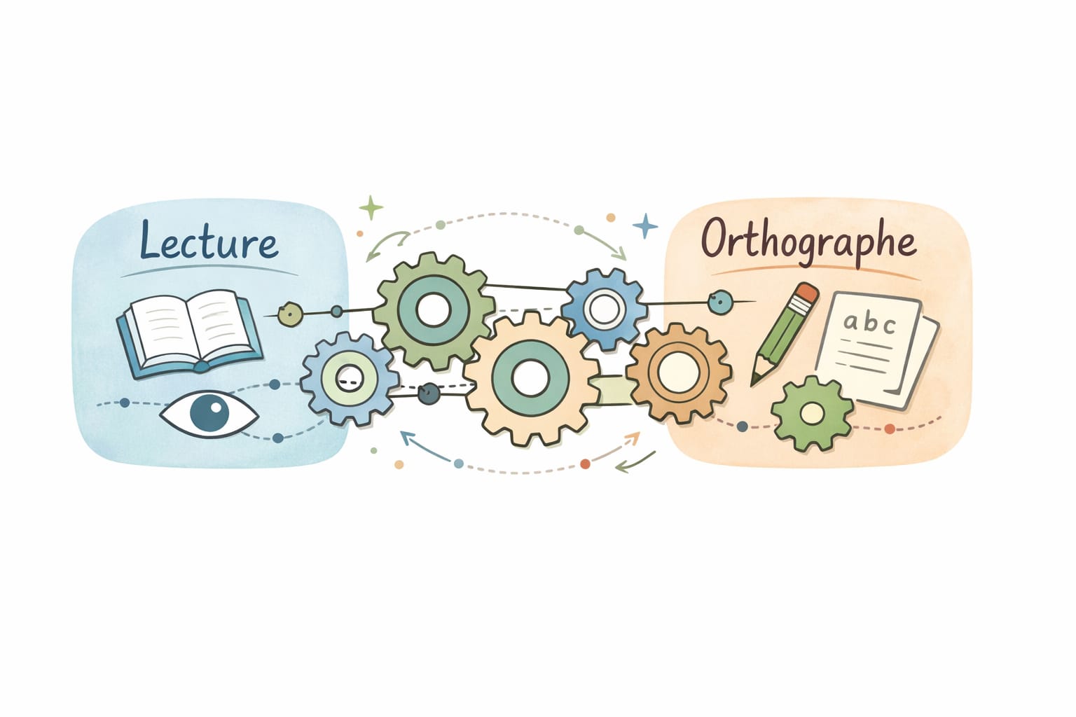 Dyslexie et dysorthographie : comprendre leurs liens pour mieux accompagner